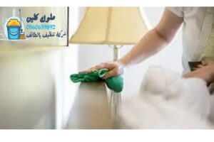 خدمات تنظيف منازل الطائف