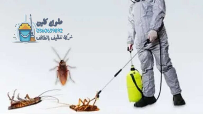 شركة مكافحة الصراصير في الطائف