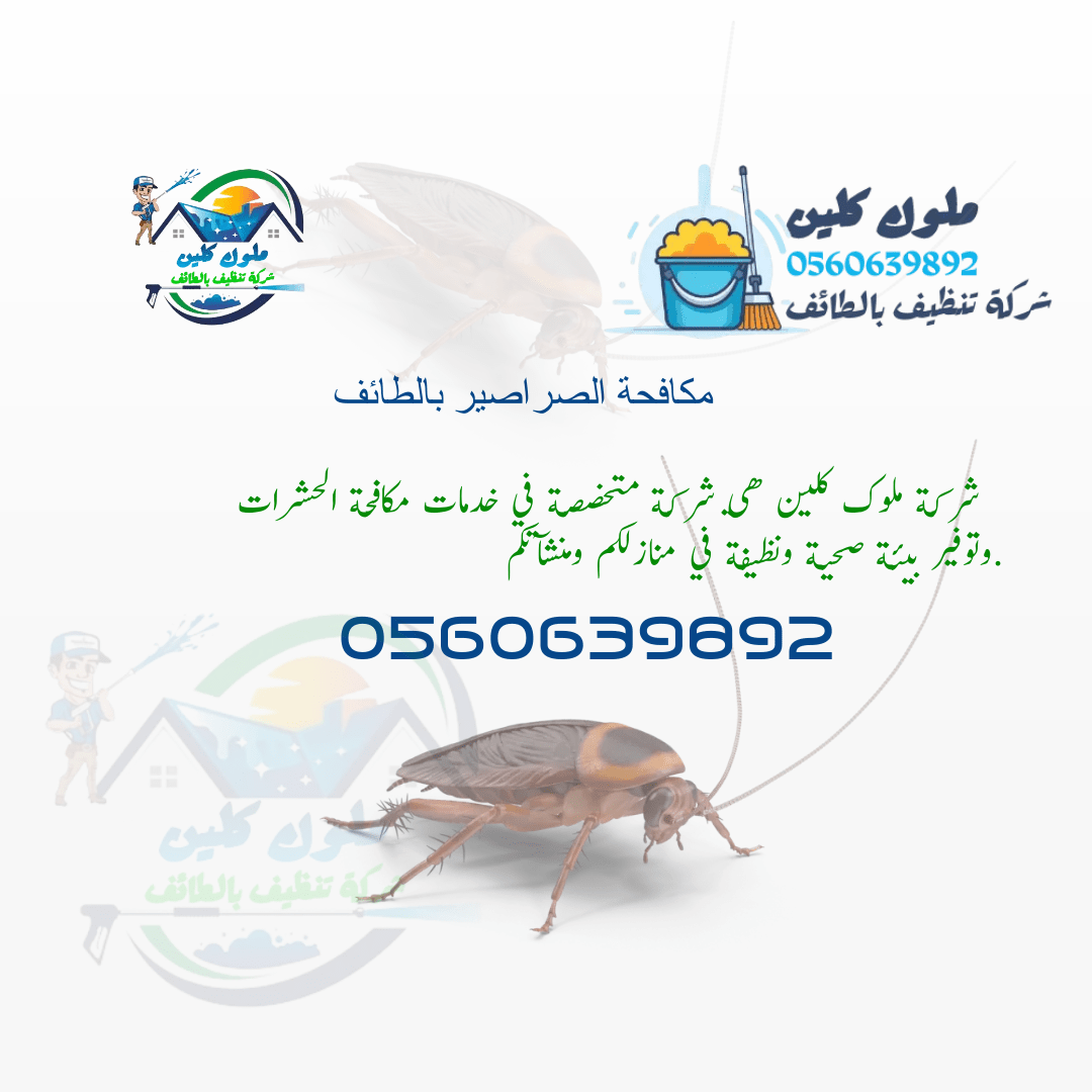 شركة مكافحة الصراصير بالطائف