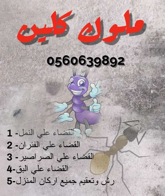 شركة مكافحة النمل بالطائف