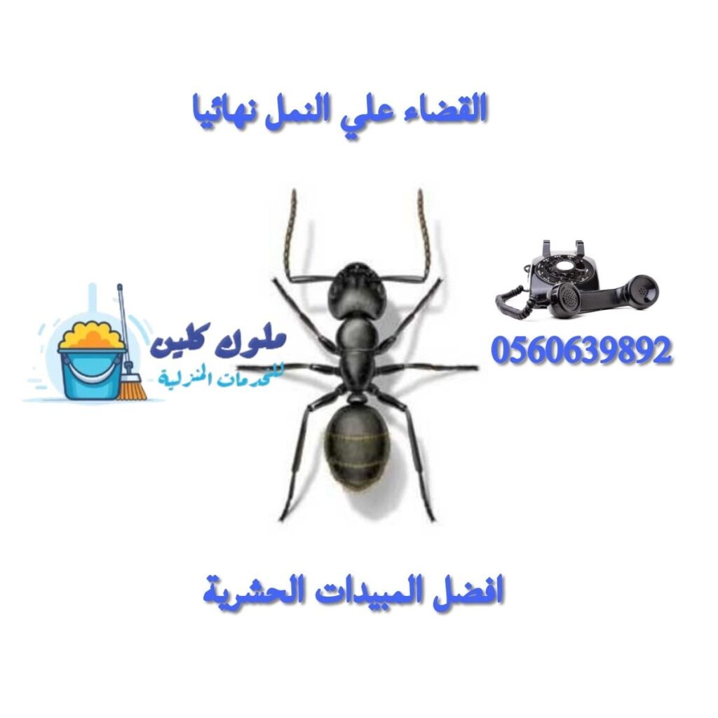 افضل شركة مكافحة نمل في الطايف