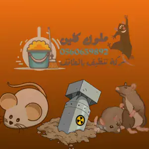 شركة مكافحة حشرات بالطائف القضاء علي الفئران